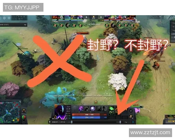 DOTA2战术解析:深入探讨LNG战队的边路渗透策略与执行技巧 DOTA2战术解析:深入探讨LNG战队的边路渗透策略与执行技巧