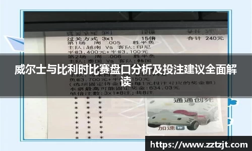 威尔士与比利时比赛盘口分析及投注建议全面解读